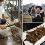 Китайцы разводили огромных диких крыс для «питательного» мяса до запрета из-за коронавируса