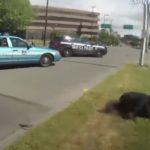 Полиция в Сиетле получила несколько звонков об афроамериканце, который угрожает прохожим ножом продолжение в видео