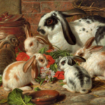 Почему на Руси употребление в пищу мяса кролика считалось большим грехом