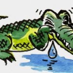 Почему слезы — крокодиловы