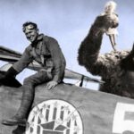 Как американский летчик на советско-польской войне придумал Кинг Конга