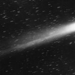 История апокалипсического безумия, возникшего из-за прибытия кометы Галлея в 1910 году