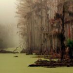 Топь Манчак в Луизиане: проклятые болота с призраками