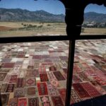 Зачем в Турции раскладывают ковры на полях