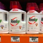 Токсичный гербицид найден в моче 80% исследованных американцев