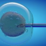 Дети, рожденные без яйцеклеток и сперматозоидов, могут стать реальностью в Будущем
