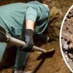 Девушка нашла человеческие кости в своем подвале. В полиции ей предложили копать дальше