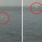 Таинственный объект, движущийся на большой скорости по воде, попал на камеру наблюдения