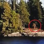 Шагающего по берегу йети сняли на видео в Канаде