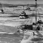 Инцидент с 4 советскими рыболовными траулерами, которые в одночасье ушли на дно — выжил только один моряк