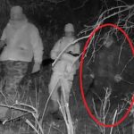 Лесная камера засняла как рядом с двумя охотниками идет призрак