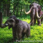 Наблюдения загадочных слоноподобных животных в Северной Америке