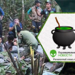 Найти четырех детей в джунглях Колумбии помог шаманский отвар аяуаска, считают члены поисковой группы