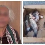 Полиция задержала 70-летнюю бабушку, которая везла наркотики в карасях