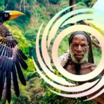 🦅 Криптид Новой Гвинеи — огромная птица-носорог