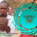🐝 Знахарь призвал пчел найти угонщика и они обнаружили преступника, облепив его руки