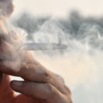 Сибирские ученые вывели табак с низким содержанием никотина