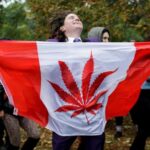 На долю курильщиков марихуаны пришлось 43% нетрезвых водителей в Канаде