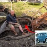 Британец обнаружил таинственный автомобиль 1950-х годов, похороненный под газоном в саду