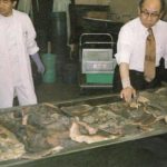 Коллекция татуированной человеческой кожи Фукуси Масаити