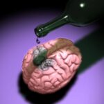 Спиртное убивает клетки мозга — это миф