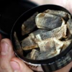 Скандинавские подростки засовывают табак за крайнюю плоть