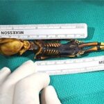Загадочная мумия гуманоида Атакамы