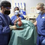 В США хирурги сделали первую в мире пересадку сердца свиньи человеку