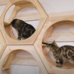 Как сделать настенный игровой комплекс для кошек