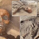 В Польше нашли могилу девушки «вампира» из XVII века с  приставленным серпом к горлу, чтобы она не восстала из мёртвых