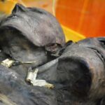 Кап Два — загадочная мумия двухголового гиганта из Патагонии