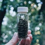 Японец продает вкусный чай из помета гусениц