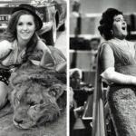 Она пережила нападение льва и 9 лет преследовала знаменитую певицу