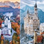 Кто и зачем построил великолепный баварский замок, который можно увидеть в диснеевском мультфильме