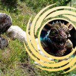 🐑 В Мексике чупакабру подозревают в серии странных нападений на коз и овец