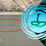 🐍 15-метровая змея? Неопознанное существо снято на видео в озере Тяньчи, Китай