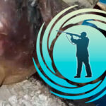 💥 Бразильские охотники утверждают, что убили чупакабру, показывая странное существо на видео