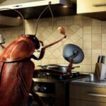 Факты о тараканах, которые вы могли не знать