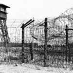 Самый безумный побег советских военнопленных из немецкого лагеря