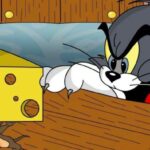 Действительно ли мыши без ума от сыра